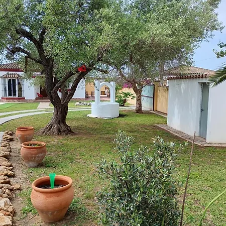 Pura Vida Chiclana de la Frontera